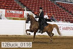 12buck_0116 proof