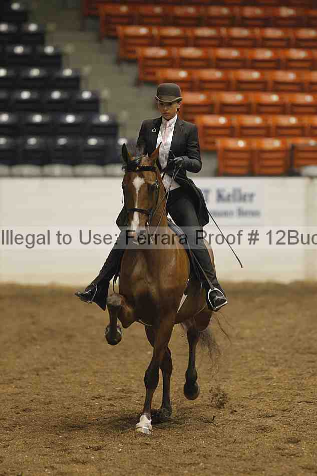 Proof 12buck_0117