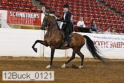 12buck_0121 proof