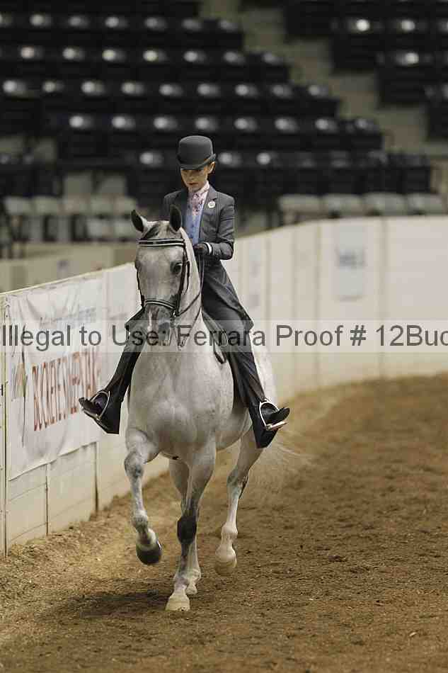 Proof 12buck_0122