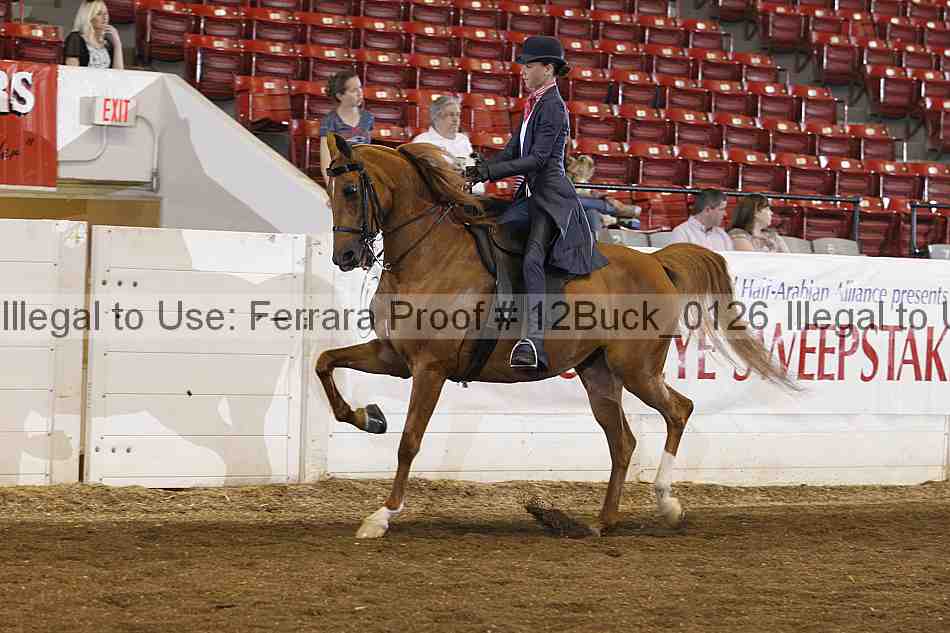 Proof 12buck_0126
