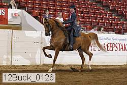 12buck_0126 proof
