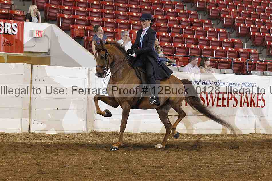 Proof 12buck_0128