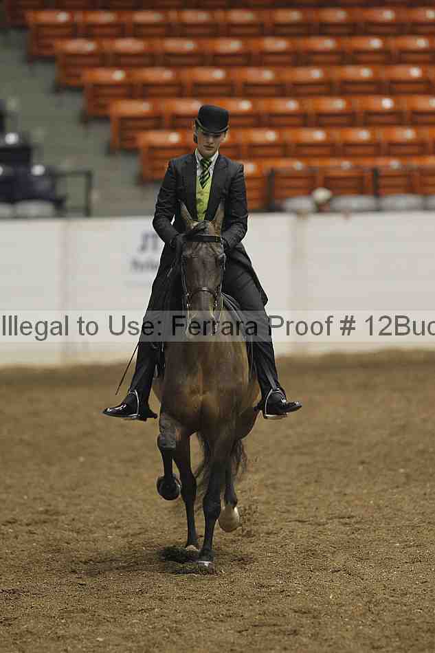 Proof 12buck_0129