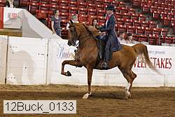 12buck_0133 proof