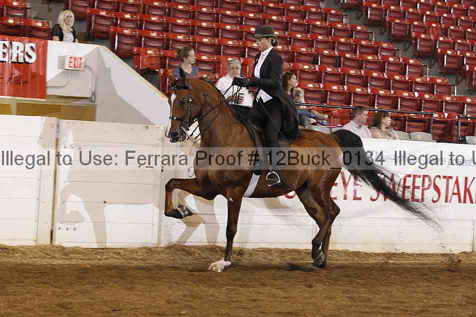 Proof 12buck_0134