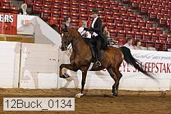 12buck_0134 proof