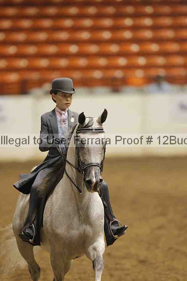 Proof 12buck_0136