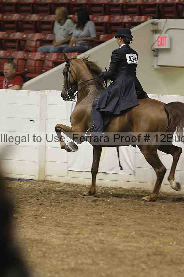 Proof 12buck_0137