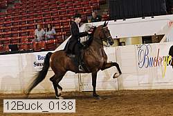 12buck_0138 proof