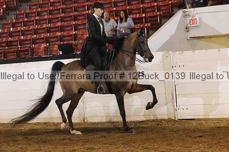 Proof 12buck_0139