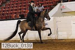 12buck_0139 proof