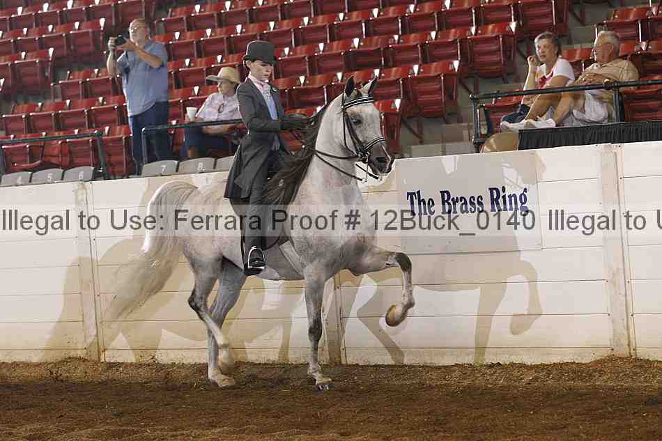 Proof 12buck_0140