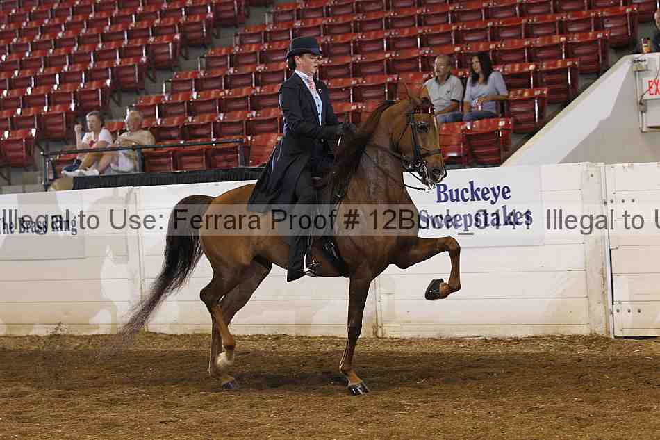 Proof 12buck_0141