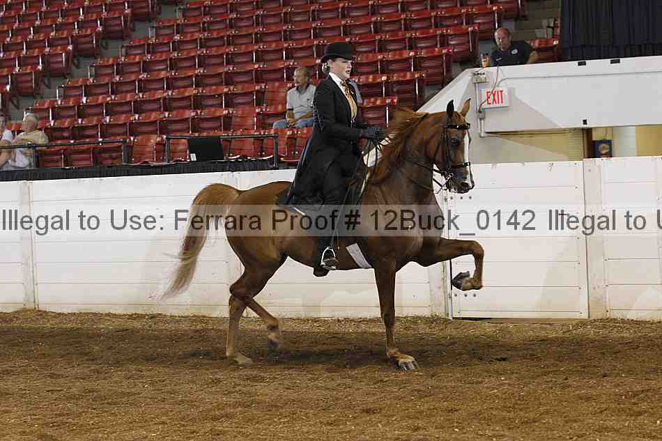 Proof 12buck_0142