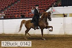 12buck_0142 proof
