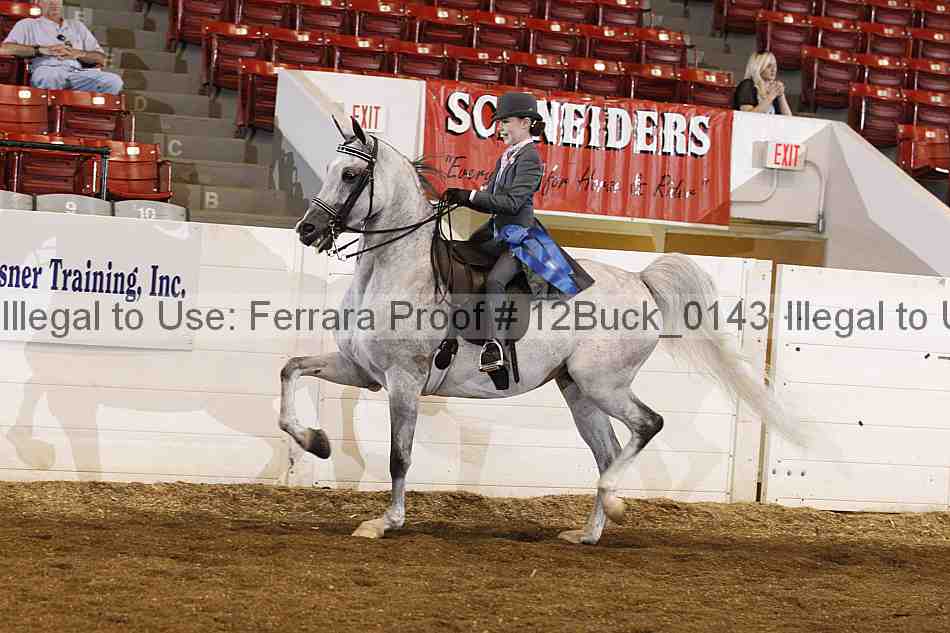 Proof 12buck_0143