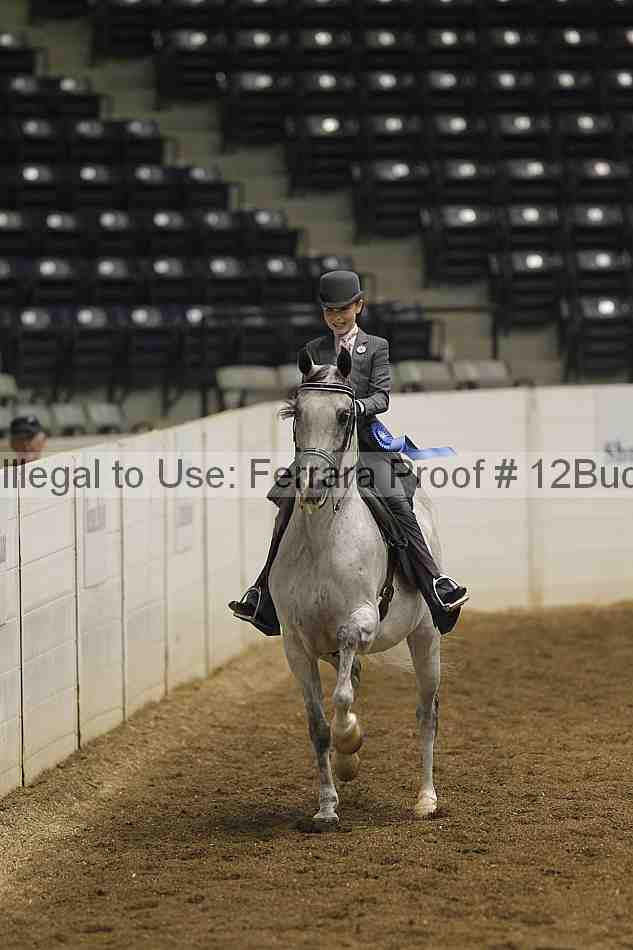 Proof 12buck_0145