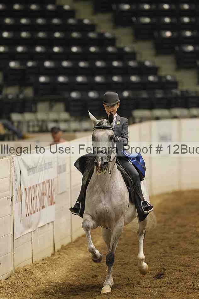 Proof 12buck_0146