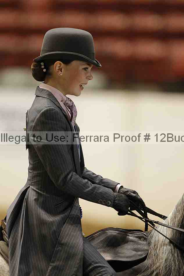 Proof 12buck_0152