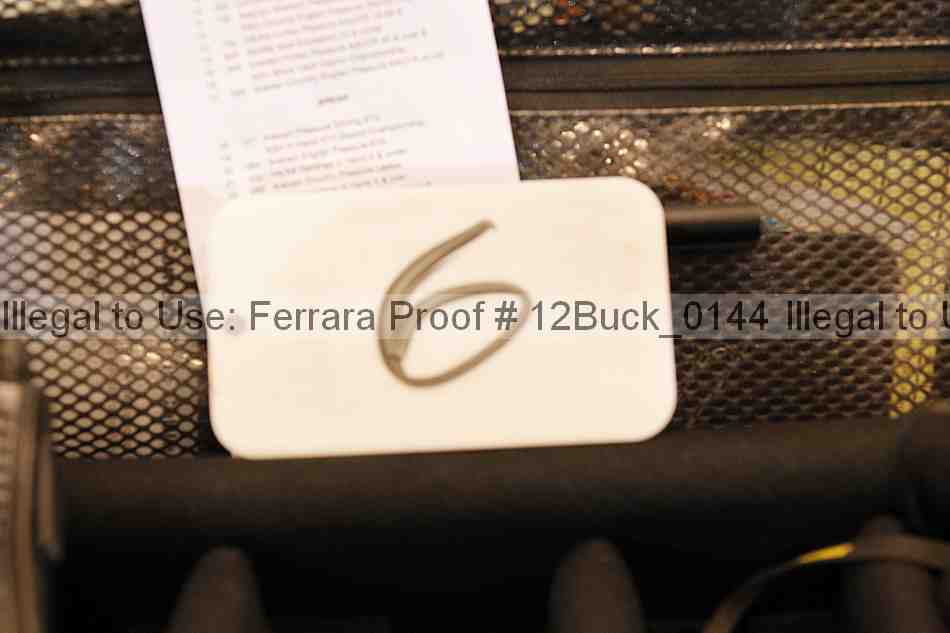 Proof 12buck_0144
