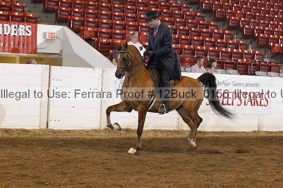 Proof 12buck_0156