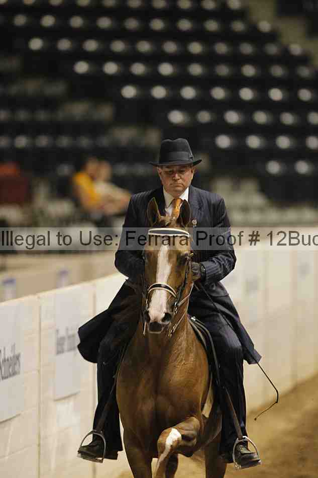 Proof 12buck_0157