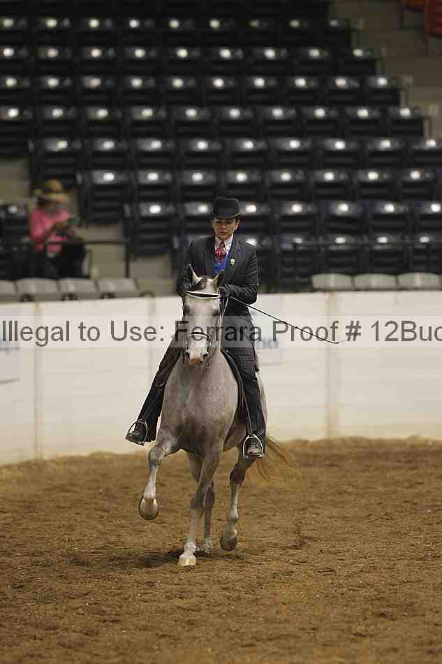 Proof 12buck_0158
