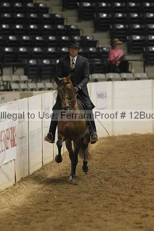 Proof 12buck_0161