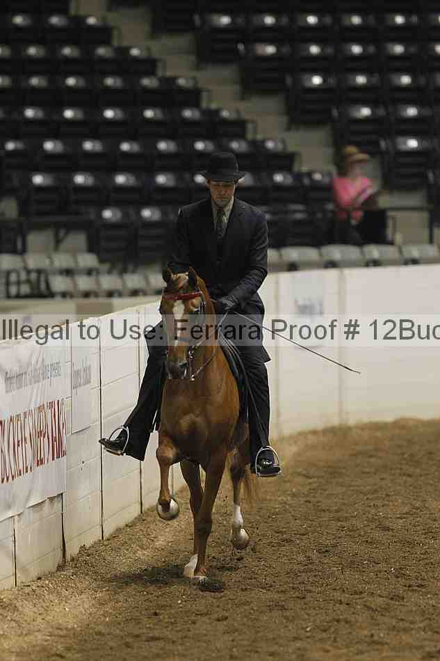 Proof 12buck_0162
