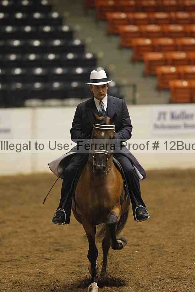 Proof 12buck_0163