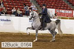 12buck_0164 proof