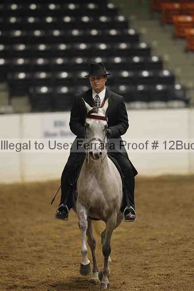 Proof 12buck_0166