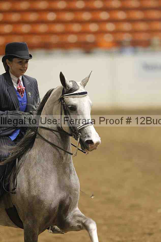 Proof 12buck_0168
