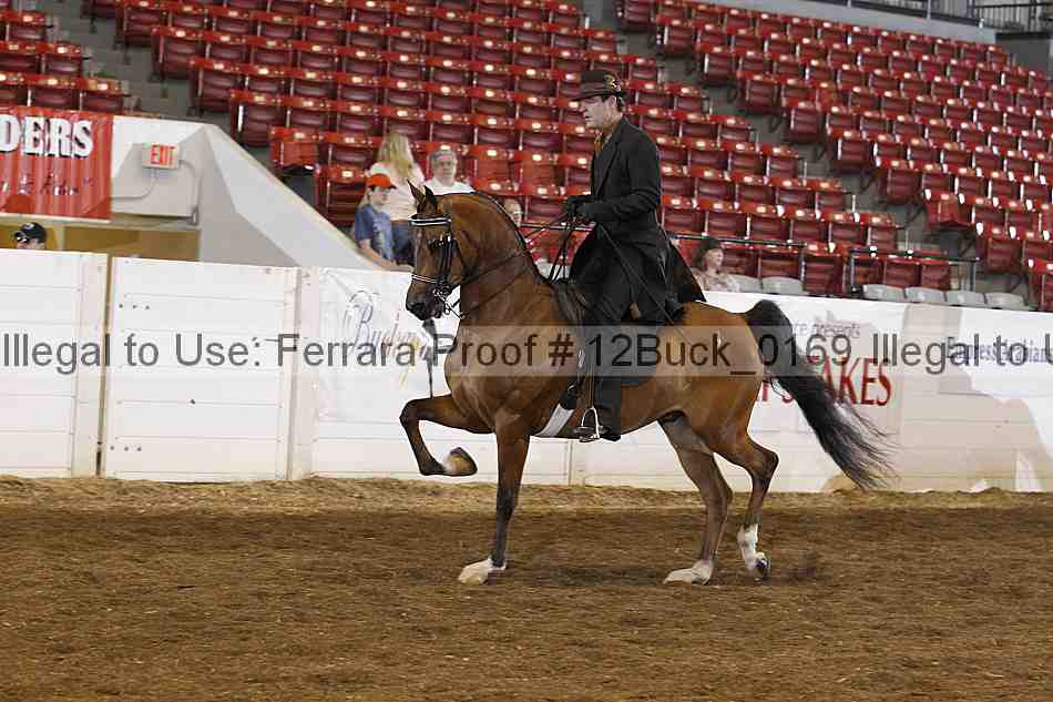 Proof 12buck_0169