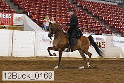 12buck_0169 proof