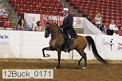 12buck_0171 proof