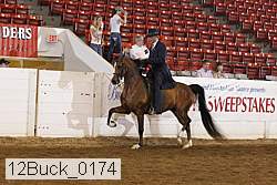 12buck_0174 proof