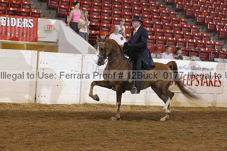 Proof 12buck_0177