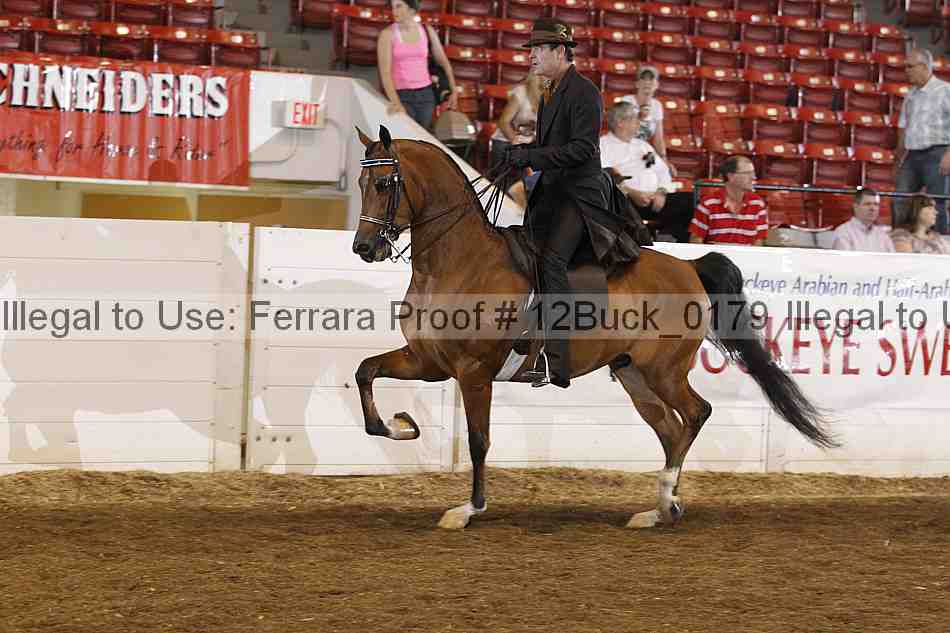 Proof 12buck_0179