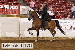 12buck_0179 proof