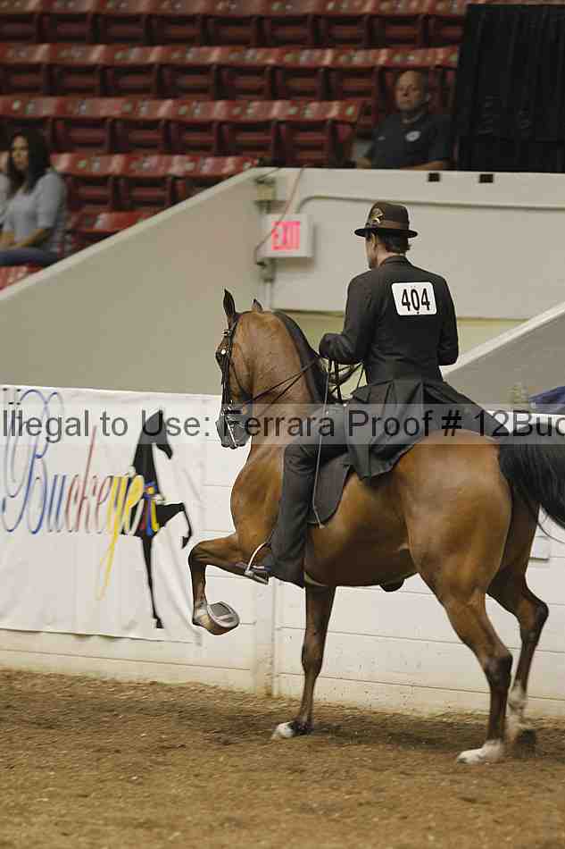 Proof 12buck_0181