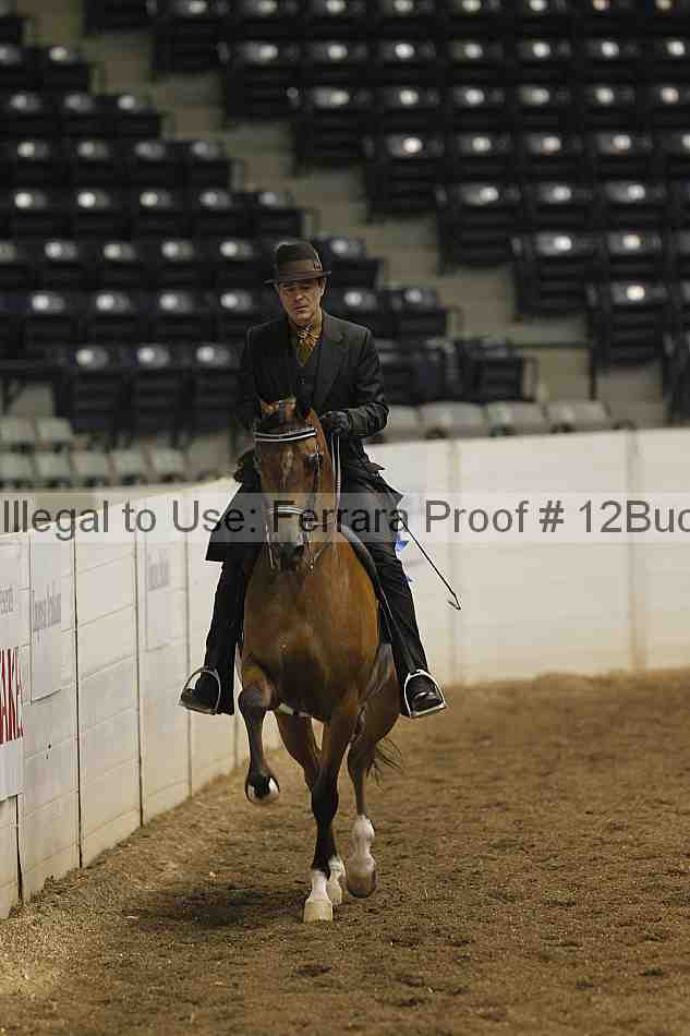 Proof 12buck_0186