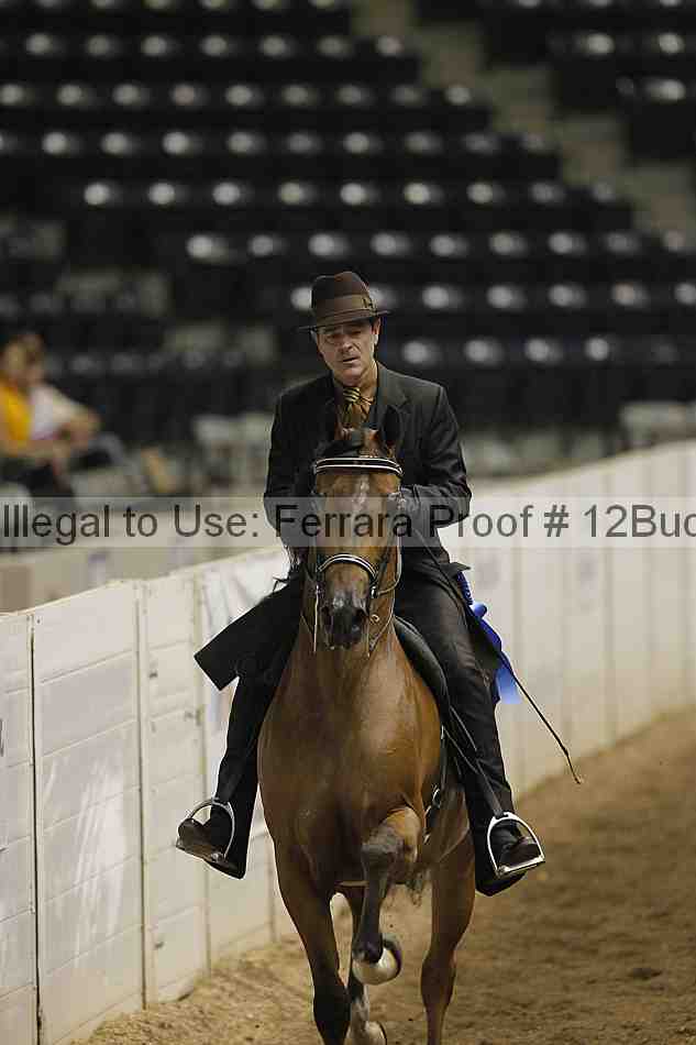 Proof 12buck_0187