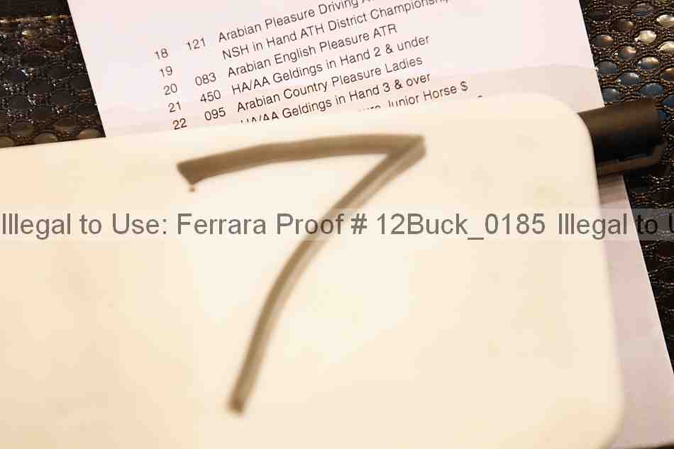 Proof 12buck_0185