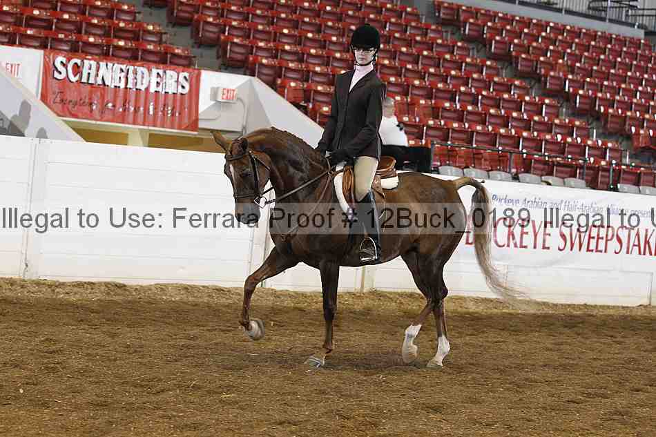 Proof 12buck_0189