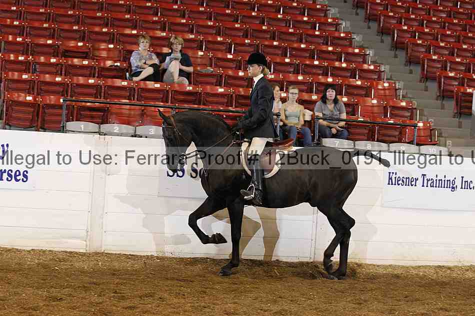 Proof 12buck_0191