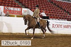 12buck_0193 proof