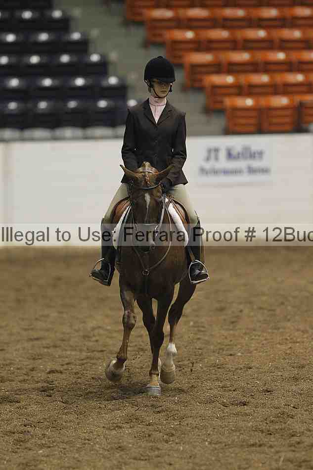 Proof 12buck_0194