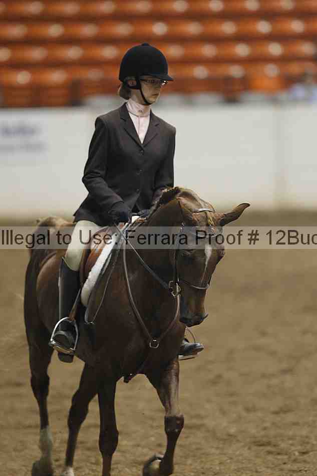 Proof 12buck_0195